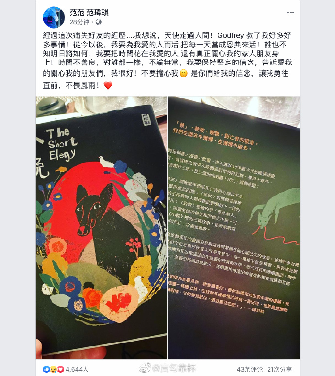 范玮琪再发文悼念高以翔：我要为我爱的人而活